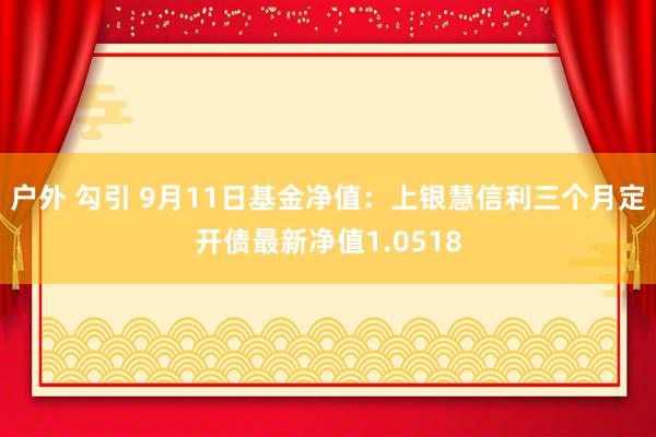 户外 勾引 9月11日基金净值：上银慧信利三个月定开债最新净值1.0518