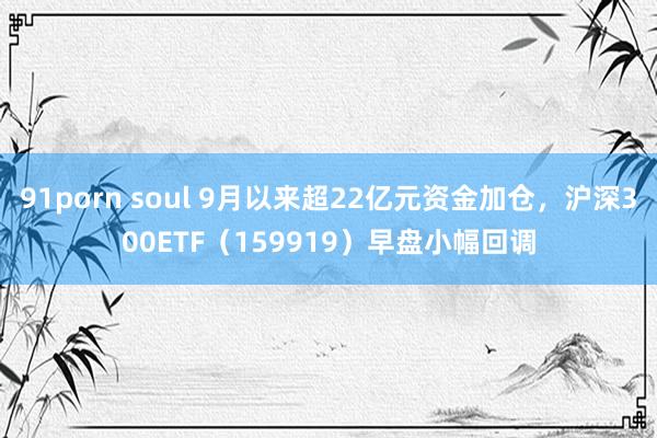 91porn soul 9月以来超22亿元资金加仓，沪深300ETF（159919）早盘小幅回调