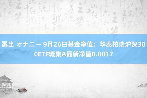 露出 オナニー 9月26日基金净值：华泰柏瑞沪深300ETF辘集A最新净值0.8817