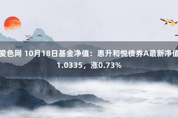 爱色网 10月18日基金净值：惠升和悦债券A最新净值1.0335，涨0.73%