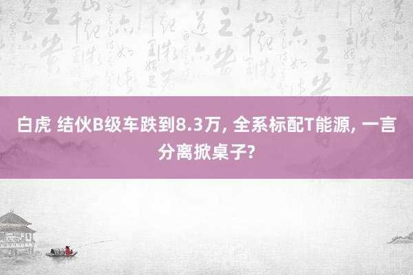 白虎 结伙B级车跌到8.3万， 全系标配T能源， 一言分离掀桌子?
