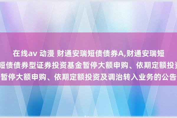在线av 动漫 财通安瑞短债债券A,财通安瑞短债债券C: 对于财通安瑞短债债券型证券投资基金暂停大额申购、依期定额投资及调治转入业务的公告