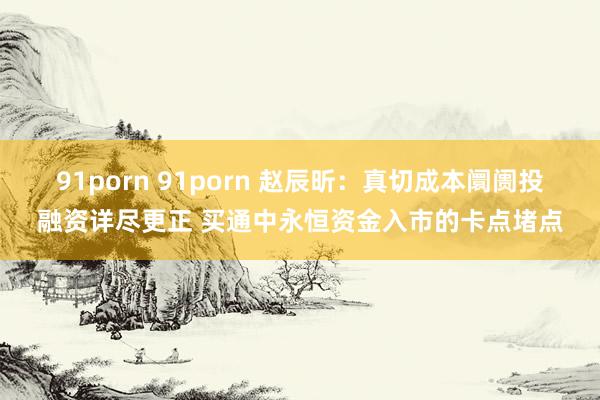 91porn 91porn 赵辰昕：真切成本阛阓投融资详尽更正 买通中永恒资金入市的卡点堵点