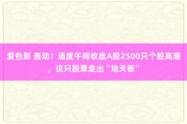 爱色影 轰动！适度午间收盘A股2500只个股高潮，这只股票走出“地天板”