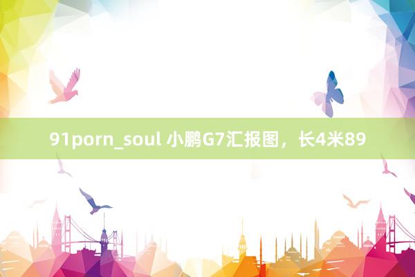 91porn_soul 小鹏G7汇报图，长4米89