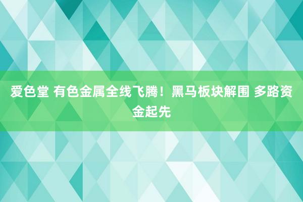 爱色堂 有色金属全线飞腾！黑马板块解围 多路资金起先