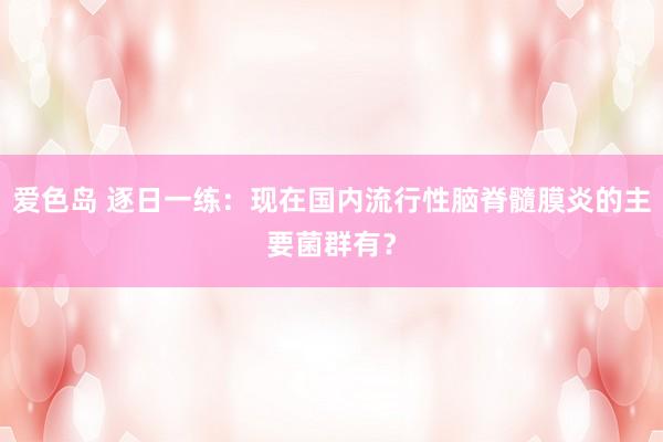 爱色岛 逐日一练：现在国内流行性脑脊髓膜炎的主要菌群有？