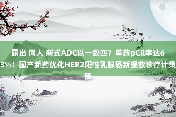 露出 同人 新式ADC以一敌四？单药pCR率达63%！国产新药优化HER2阳性乳腺癌新援救诊疗计策