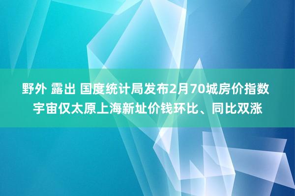 野外 露出 国度统计局发布2月70城房价指数 宇宙仅太原上海新址价钱环比、同比双涨