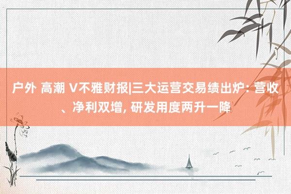 户外 高潮 V不雅财报|三大运营交易绩出炉: 营收、净利双增， 研发用度两升一降