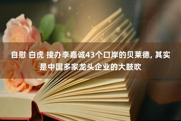 自慰 白虎 接办李嘉诚43个口岸的贝莱德， 其实是中国多家龙头企业的大鼓吹