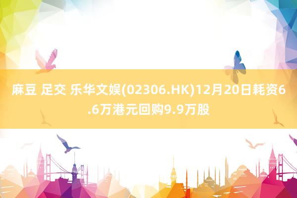 麻豆 足交 乐华文娱(02306.HK)12月20日耗资6.6万港元回购9.9万股