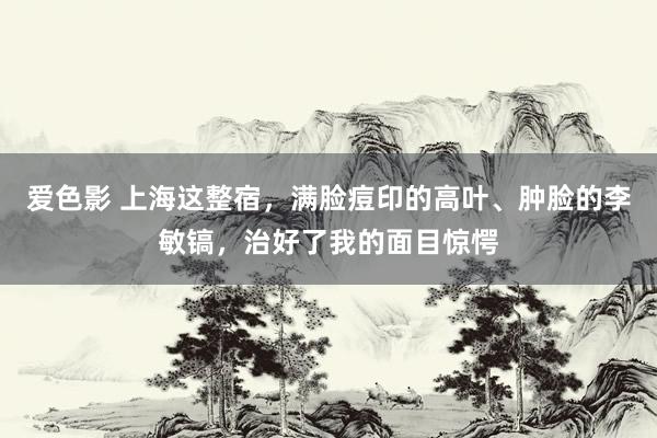 爱色影 上海这整宿，满脸痘印的高叶、肿脸的李敏镐，治好了我的面目惊愕