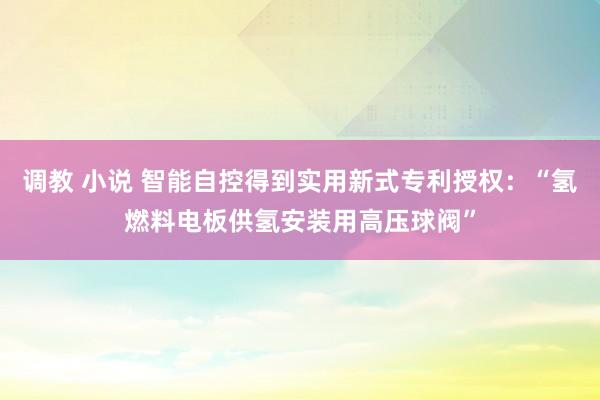 调教 小说 智能自控得到实用新式专利授权：“氢燃料电板供氢安装用高压球阀”