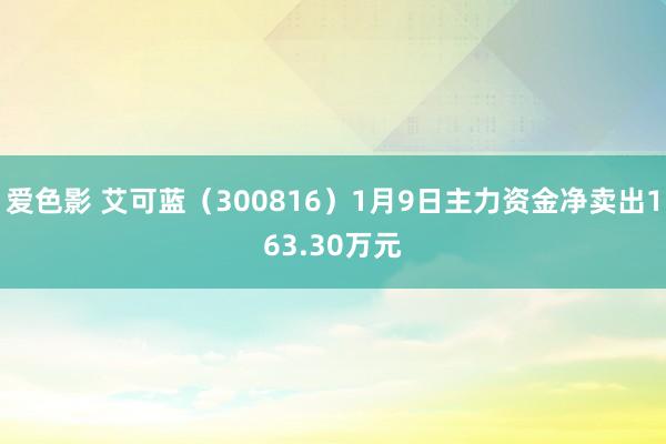爱色影 艾可蓝（300816）1月9日主力资金净卖出163.30万元