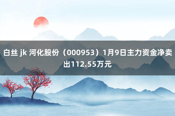 白丝 jk 河化股份（000953）1月9日主力资金净卖出112.55万元