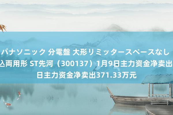 パナソニック 分電盤 大形リミッタースペースなし 露出・半埋込両用形 ST先河（300137）1月9日主力资金净卖出371.33万元
