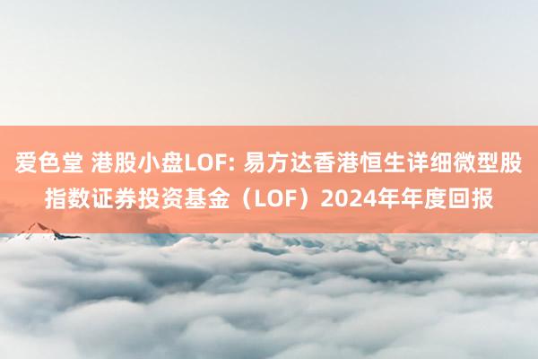 爱色堂 港股小盘LOF: 易方达香港恒生详细微型股指数证券投资基金(LOF)2024年年度回报