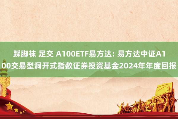 踩脚袜 足交 A100ETF易方达: 易方达中证A100交易型洞开式指数证券投资基金2024年年度回报