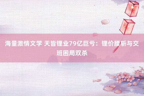 海量激情文学 天皆锂业79亿巨亏：锂价腰斩与交班困局双杀