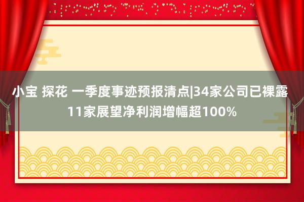 小宝 探花 一季度事迹预报清点|34家公司已裸露 11家展望净利润增幅超100%