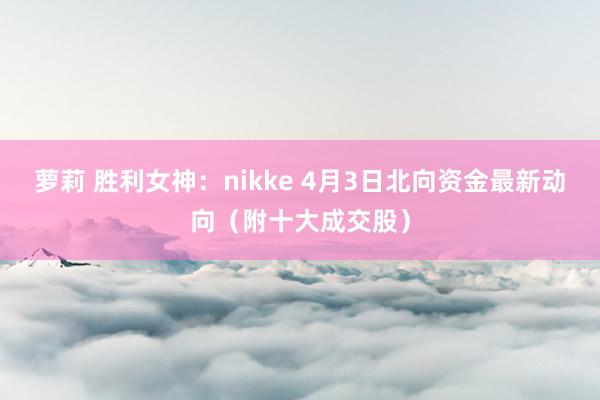 萝莉 胜利女神：nikke 4月3日北向资金最新动向（附十大成交股）