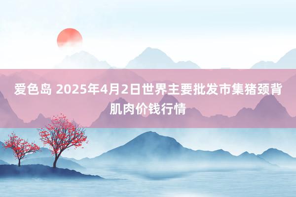 爱色岛 2025年4月2日世界主要批发市集猪颈背肌肉价钱行情