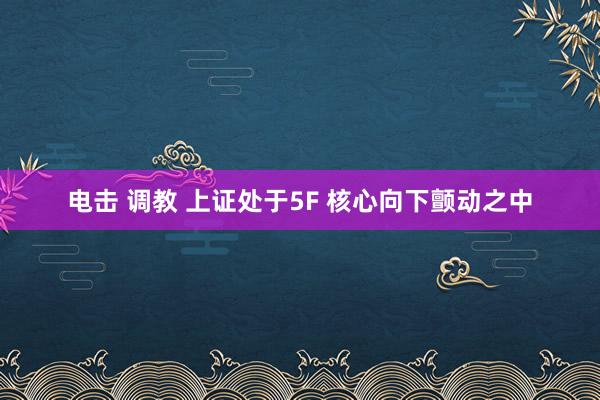 电击 调教 上证处于5F 核心向下颤动之中