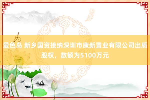 爱色岛 新乡国资接纳深圳市康新置业有限公司出质股权，数额为5100万元