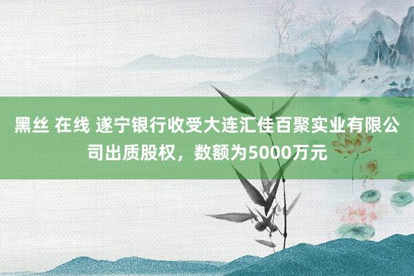 黑丝 在线 遂宁银行收受大连汇佳百聚实业有限公司出质股权，数额为5000万元