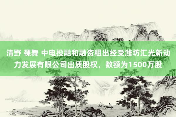 清野 裸舞 中电投融和融资租出经受潍坊汇光新动力发展有限公司出质股权，数额为1500万股