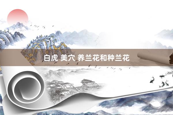 白虎 美穴 养兰花和种兰花