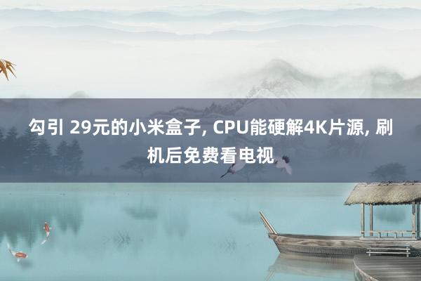 勾引 29元的小米盒子， CPU能硬解4K片源， 刷机后免费看电视