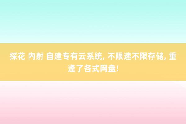 探花 内射 自建专有云系统， 不限速不限存储， 重逢了各式网盘!