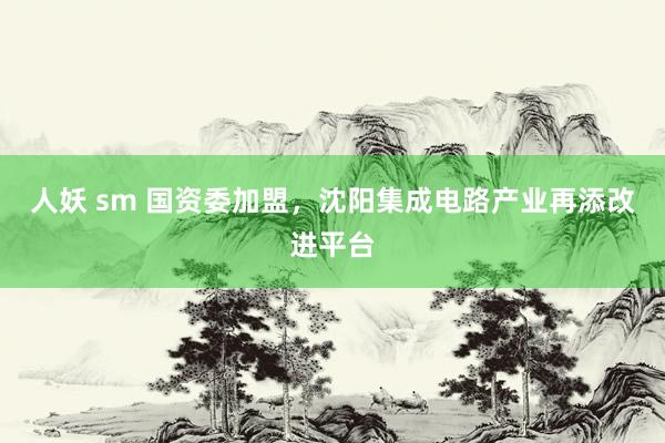 人妖 sm 国资委加盟，沈阳集成电路产业再添改进平台