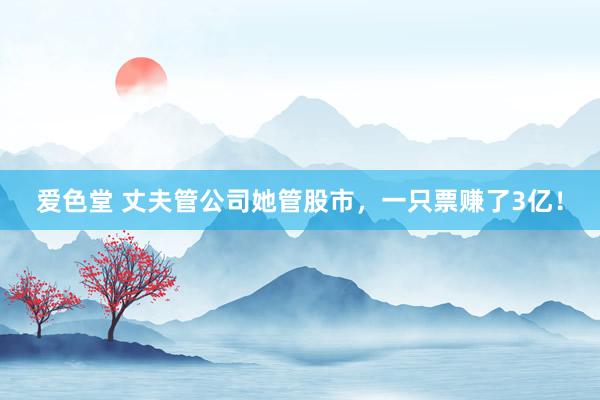 爱色堂 丈夫管公司她管股市，一只票赚了3亿！
