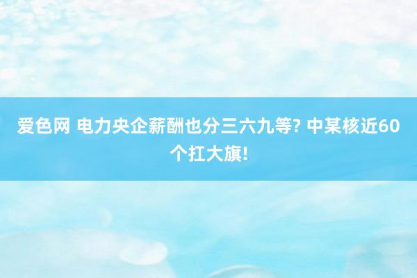 爱色网 电力央企薪酬也分三六九等? 中某核近60个扛大旗!