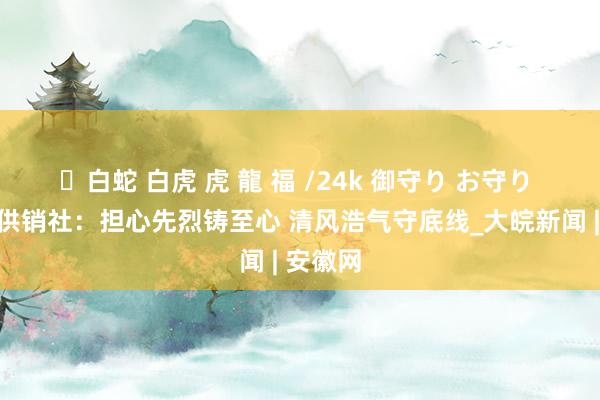 ✨白蛇 白虎 虎 龍 福 /24k 御守り お守り 濉溪县供销社：担心先烈铸至心 清风浩气守底线_大皖新闻 | 安徽网
