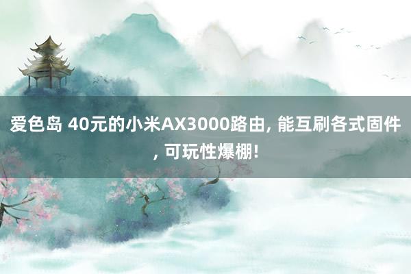 爱色岛 40元的小米AX3000路由， 能互刷各式固件， 可玩性爆棚!