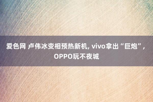 爱色网 卢伟冰变相预热新机， vivo拿出“巨炮”， OPPO玩不夜城