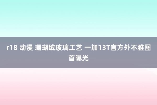 r18 动漫 珊瑚绒玻璃工艺 一加13T官方外不雅图首曝光