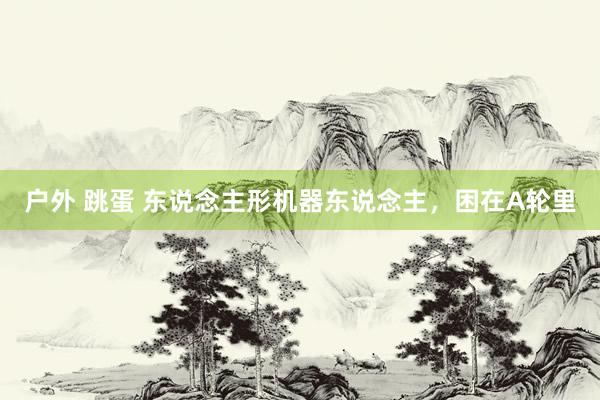 户外 跳蛋 东说念主形机器东说念主，困在A轮里