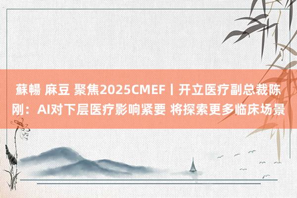 蘇暢 麻豆 聚焦2025CMEF丨开立医疗副总裁陈刚：AI对下层医疗影响紧要 将探索更多临床场景
