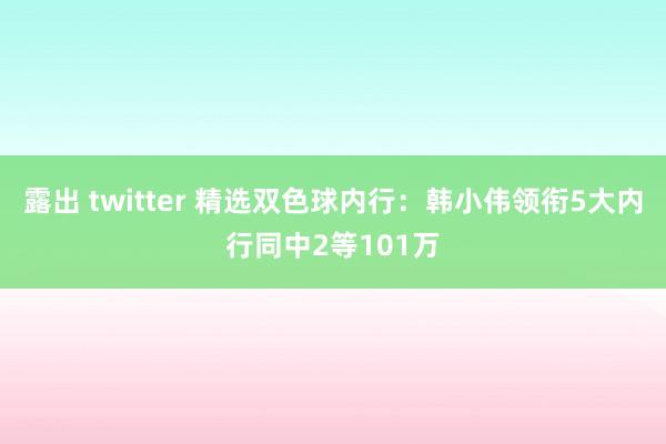 露出 twitter 精选双色球内行：韩小伟领衔5大内行同中2等101万