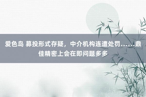 爱色岛 募投形式存疑，中介机构连遭处罚……鼎佳精密上会在即问题多多