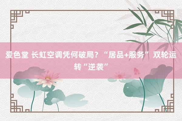 爱色堂 长虹空调凭何破局？“居品+服务” 双轮运转“逆袭”