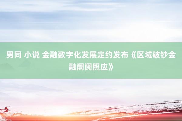 男同 小说 金融数字化发展定约发布《区域破钞金融阛阓照应》