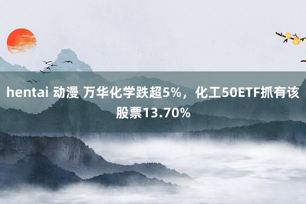 hentai 动漫 万华化学跌超5%，化工50ETF抓有该股票13.70%