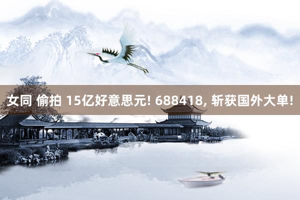 女同 偷拍 15亿好意思元! 688418， 斩获国外大单!