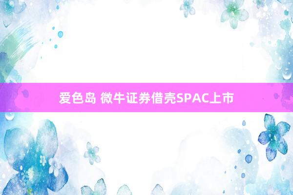 爱色岛 微牛证券借壳SPAC上市
